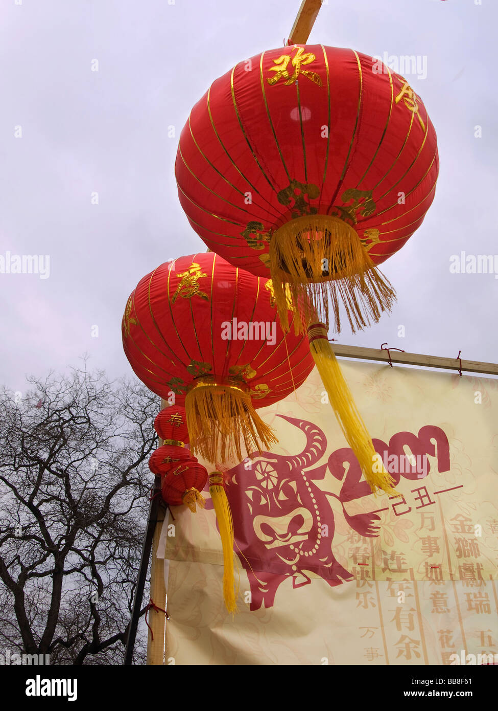 Chinese zodiac sign ot the ox, spring festival in the Year of the Ox 2009 Stock Photo