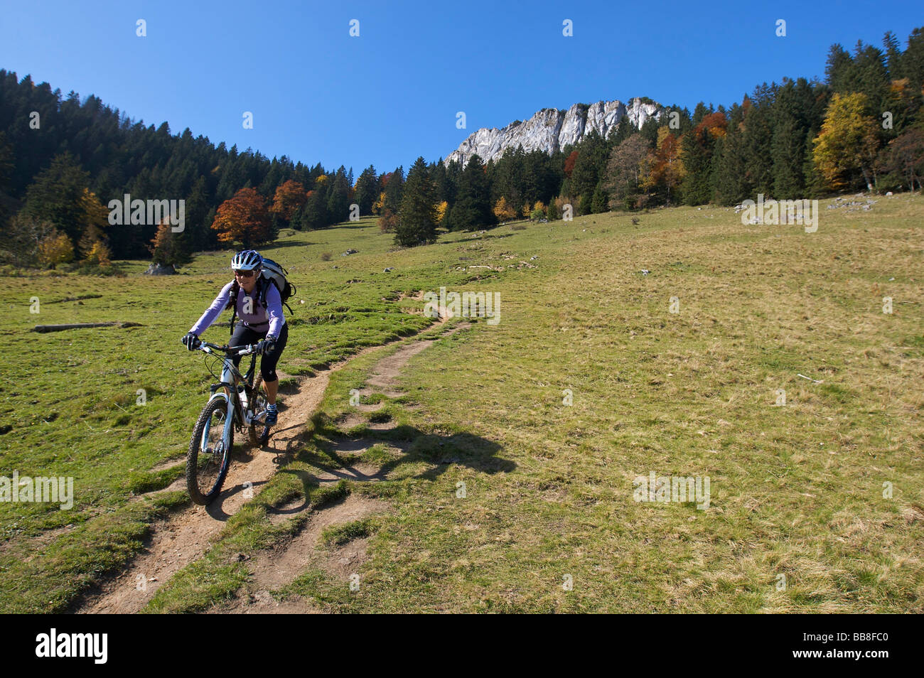 Mountain bike rider, female, in autumn on Heuberg Mountain in front of Wasserwand Mountain near Nussdorf am Inn, Bavaria, Germa Stock Photo