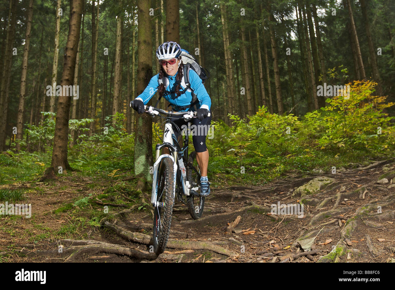 Mountain bike rider, female, riding along a root trail, on Heuberg Mountain near Nussdorf am Inn, Bavaria, Germany Stock Photo