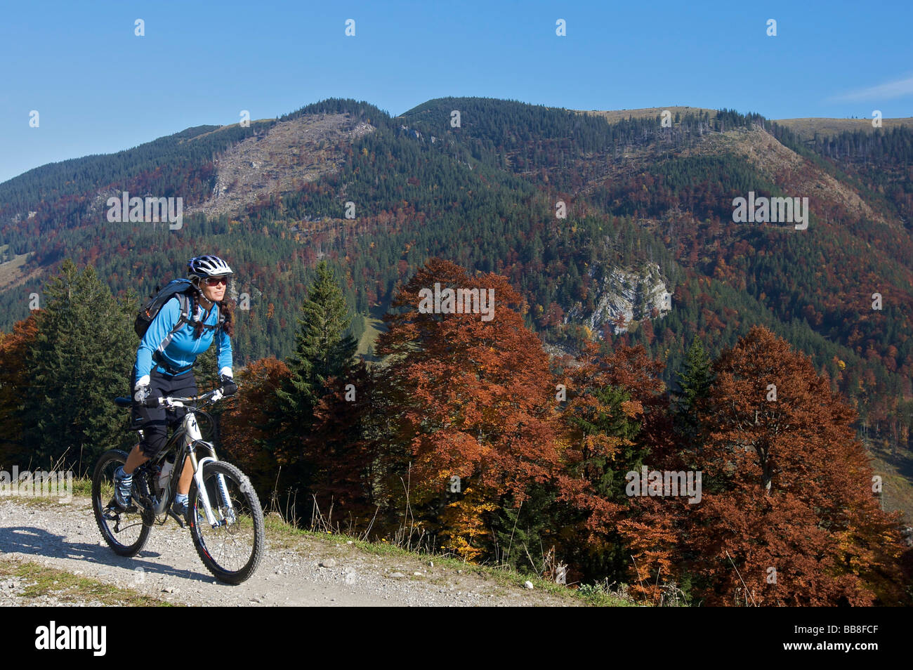 Mountain bike rider, female, in autumn on Hochries Mountain, Chiemgau Alps, Bavaria, Germany Stock Photo