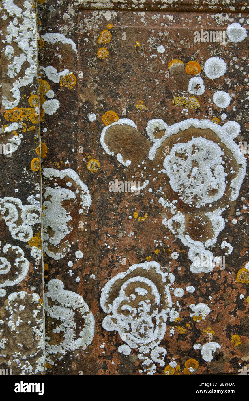 Lichen gravestone hi-res stock photography and images - Alamy