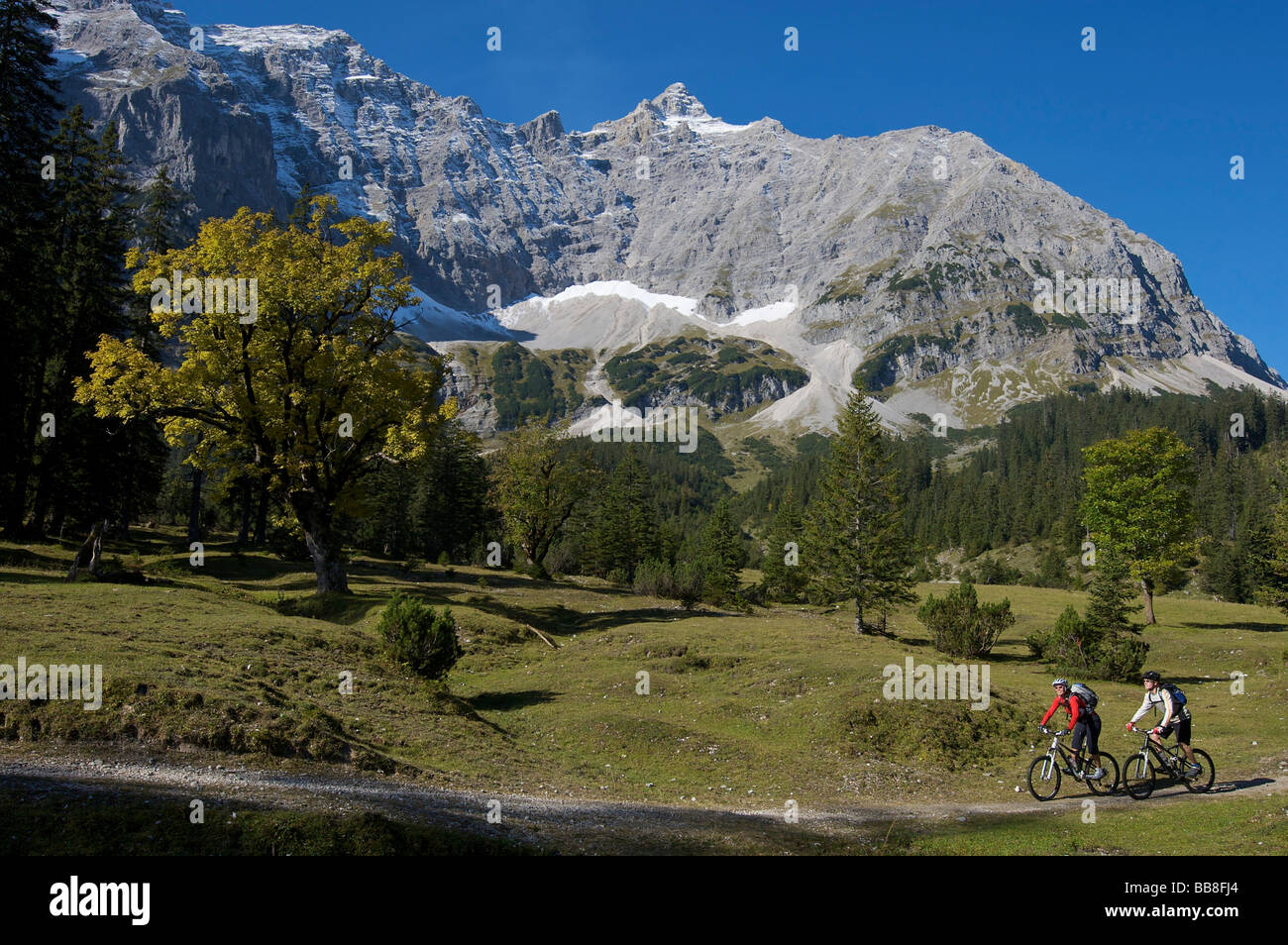 Mountainbike riders, Kleiner Ahornboden forest district, Hinterriss, Tyrol, Austria, Europe Stock Photo