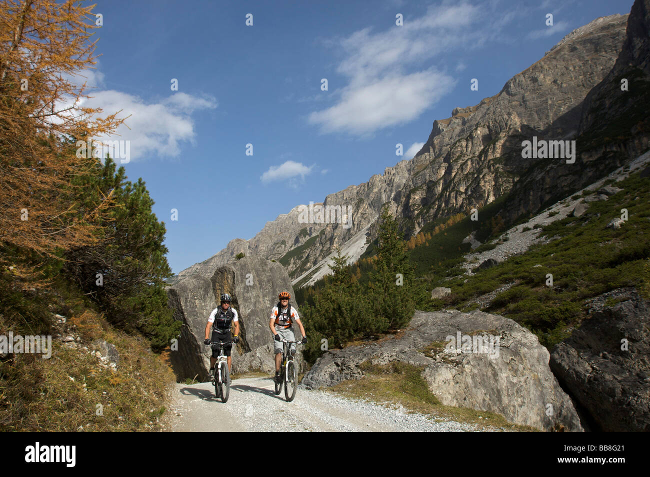 Mountainbikers at the Pinnisalm pasture in the Pinnistal valley, Tyrol, Austria Stock Photo