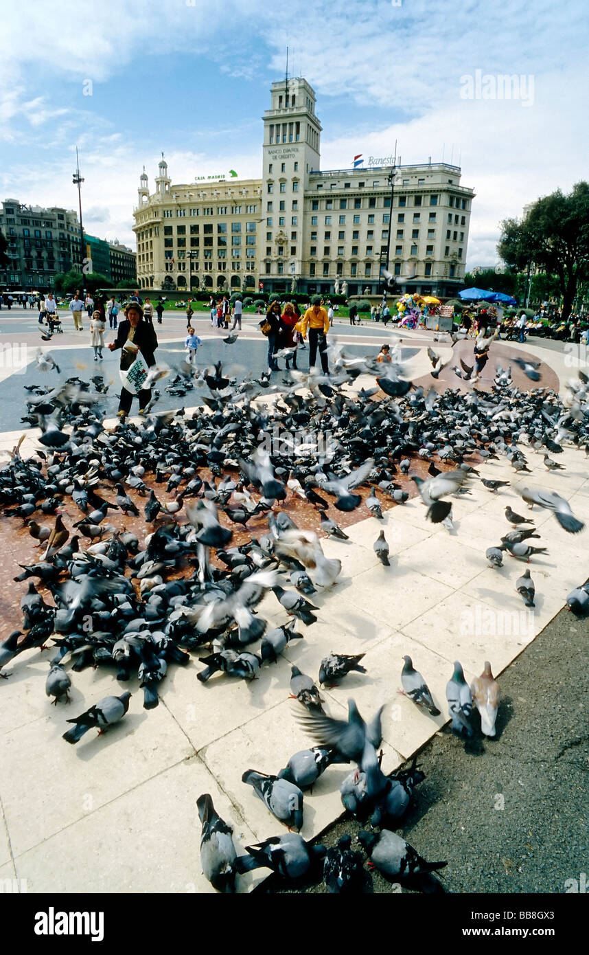 Plaça de Catalunya, populated by pigeons, Barcelona, Catalonia, Spain, Europe Stock Photo