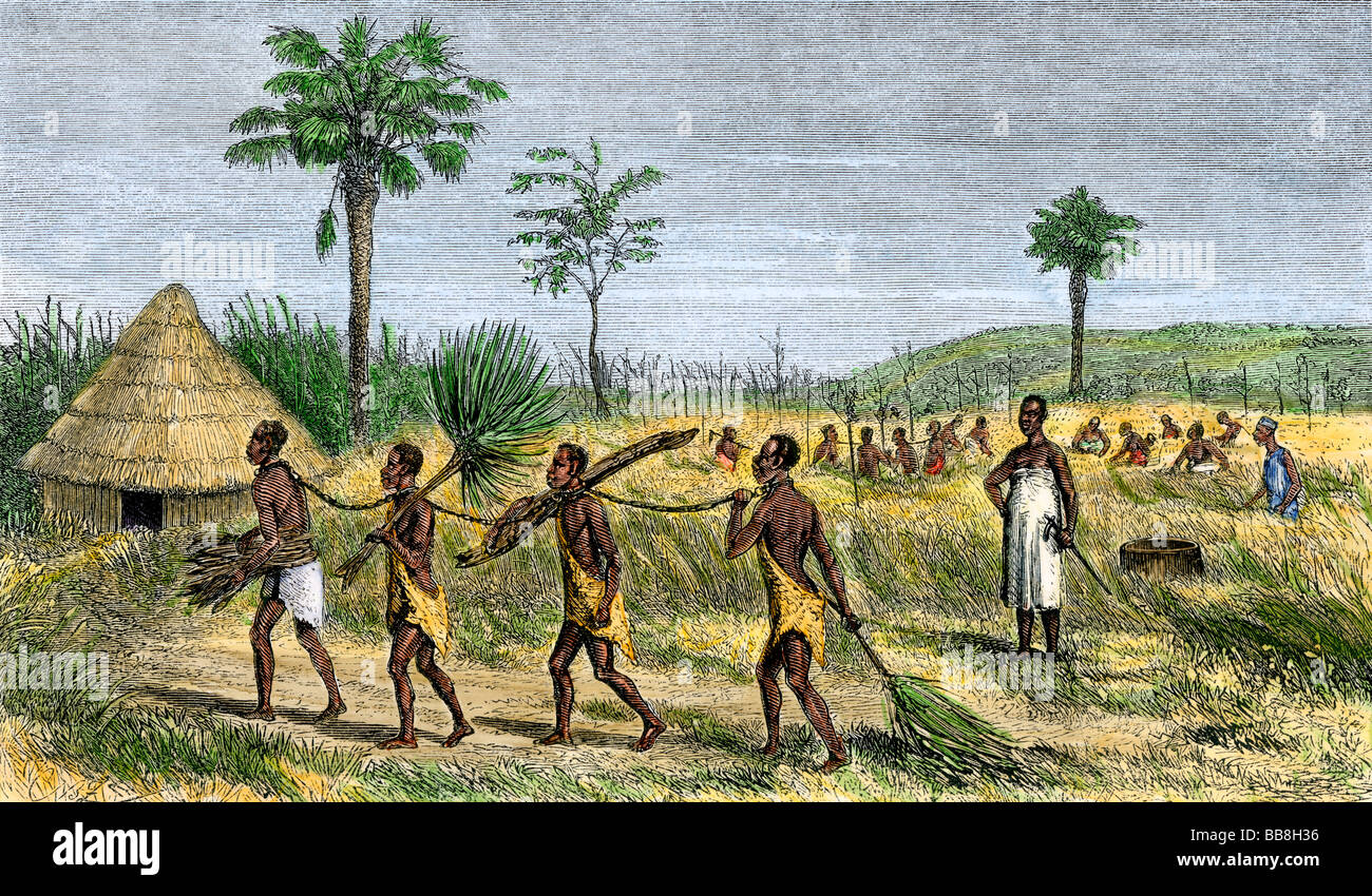 Native slaves carrying fuel and cutting rice in East Africa 1860s. Hand-colored woodcut Stock Photo