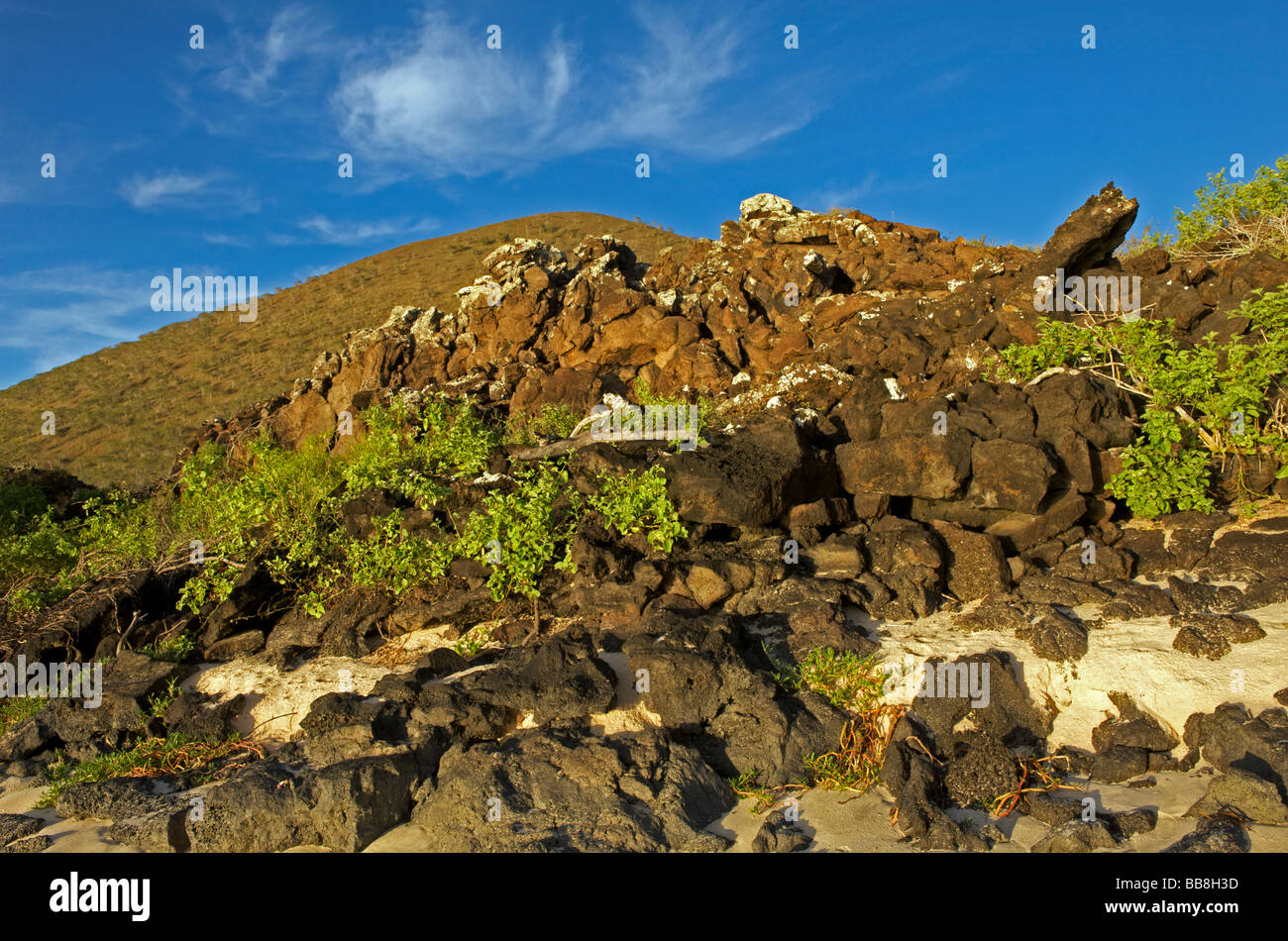 A volcanic rocky outcrop above the beach on Floreana Island in southern Galapagos, Pacific Stock Photo
