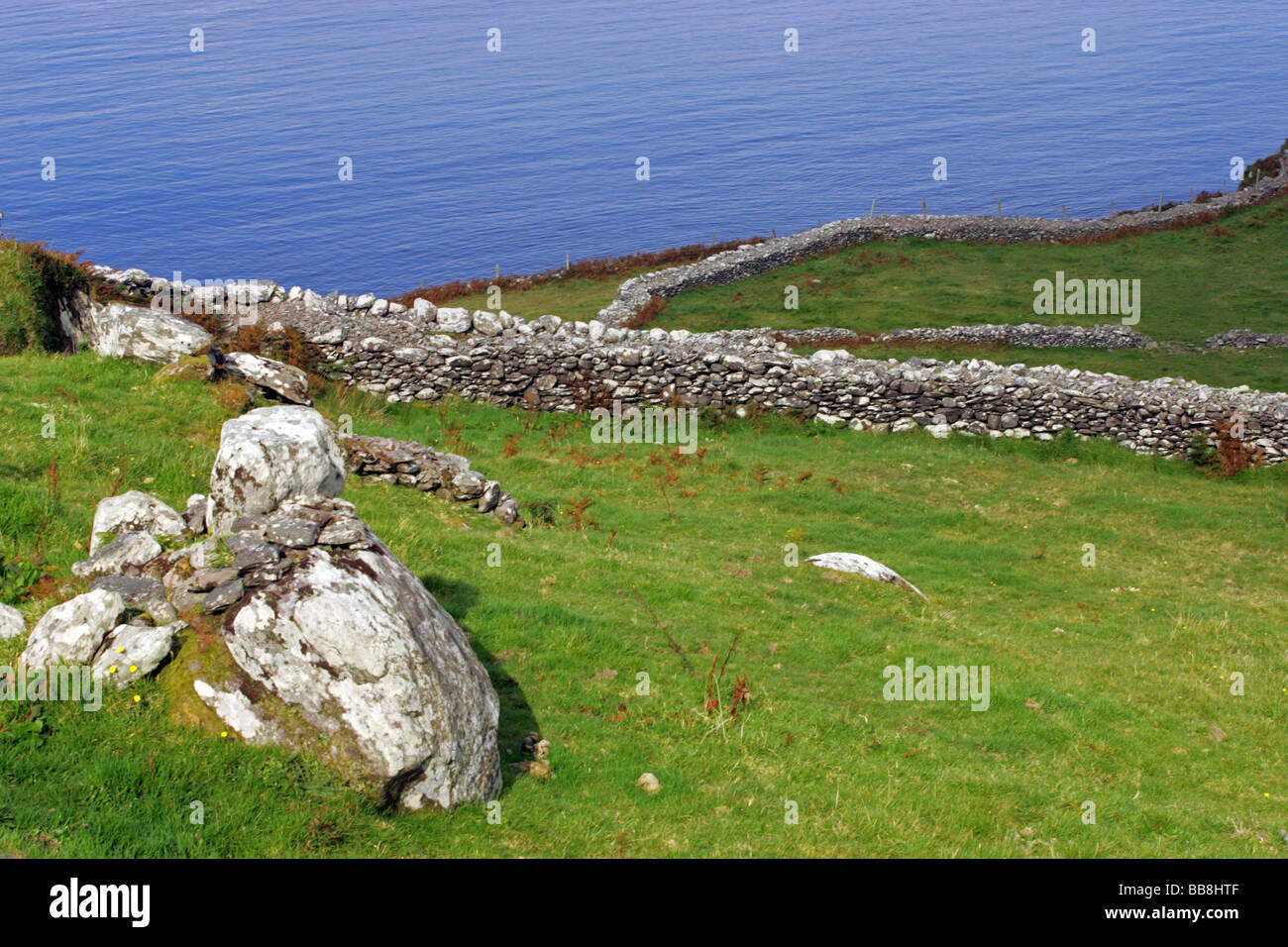 Landscape with stone walls, Ballinskelligs Bay, Waterville, Ring of Kerry, Kerry, Ireland Stock Photo