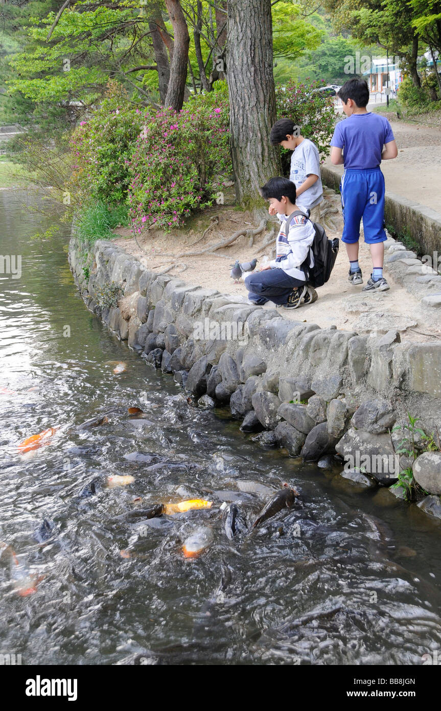 Children feed Carp (Cyprinus carpio L.), Takaraga-ike Sea, Kyoto, Japan, Asia Stock Photo