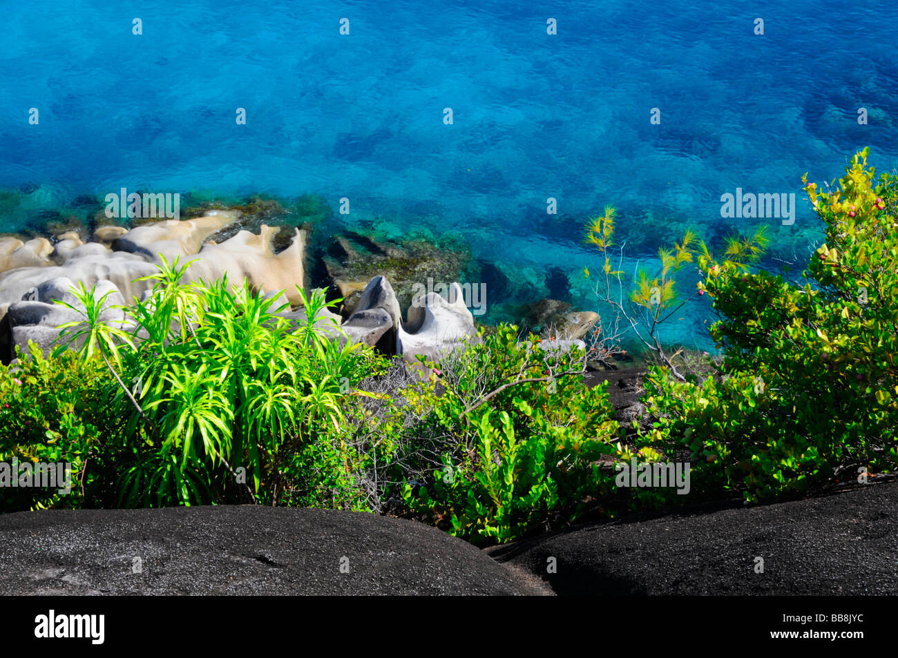 Black and white granite rocks with tropical vegetation, northwest coast, Mahe, Seychelles Stock Photo