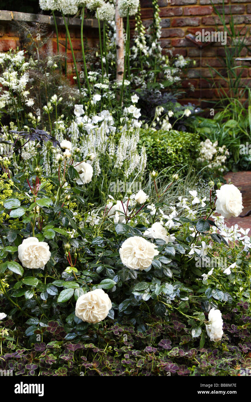Courtyard gardens Chelsea 2009 The Jacobs Ladder Garden Designer Jeffery Hewitt Stock Photo
