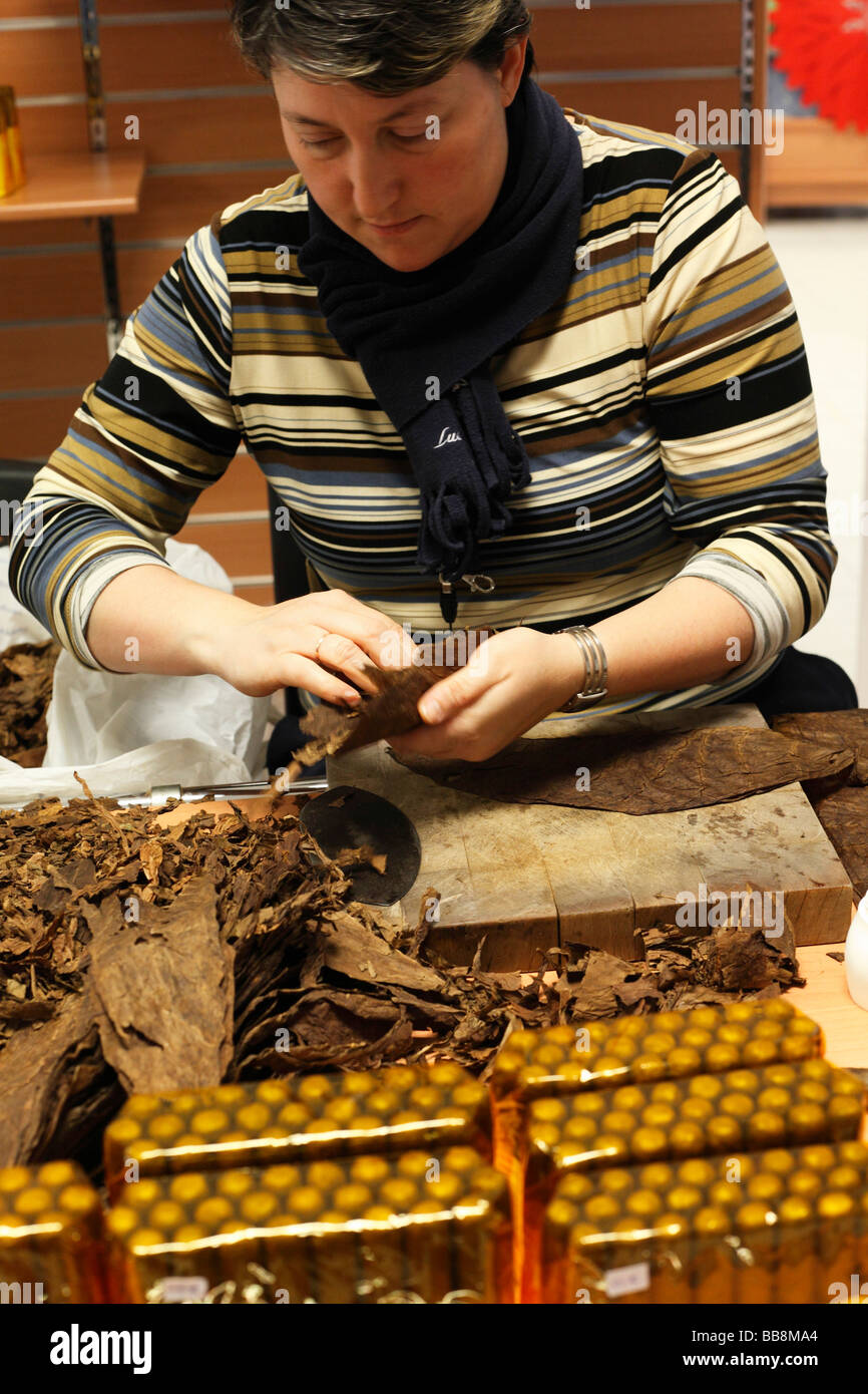 Cigar production, La Palma, Canary Islands, Spain Stock Photo