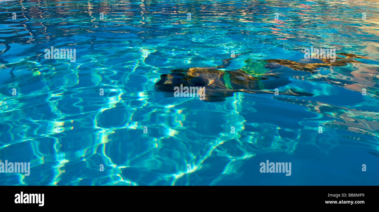Underwater swimmer 4 Stock Photo - Alamy