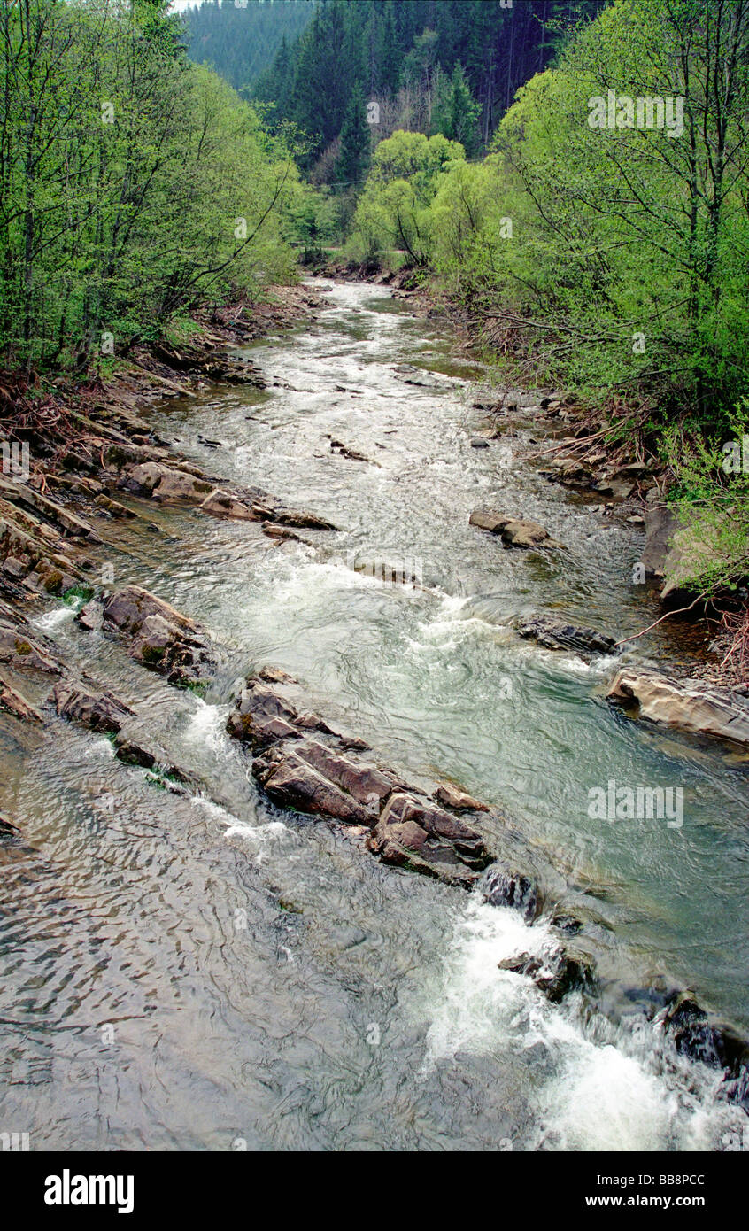 river in carpathian mountains Stock Photo