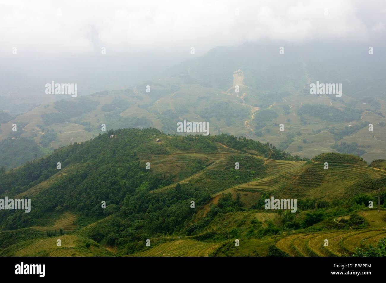 View over the Lao Chai Valley, Sapa, Vietnam Stock Photo