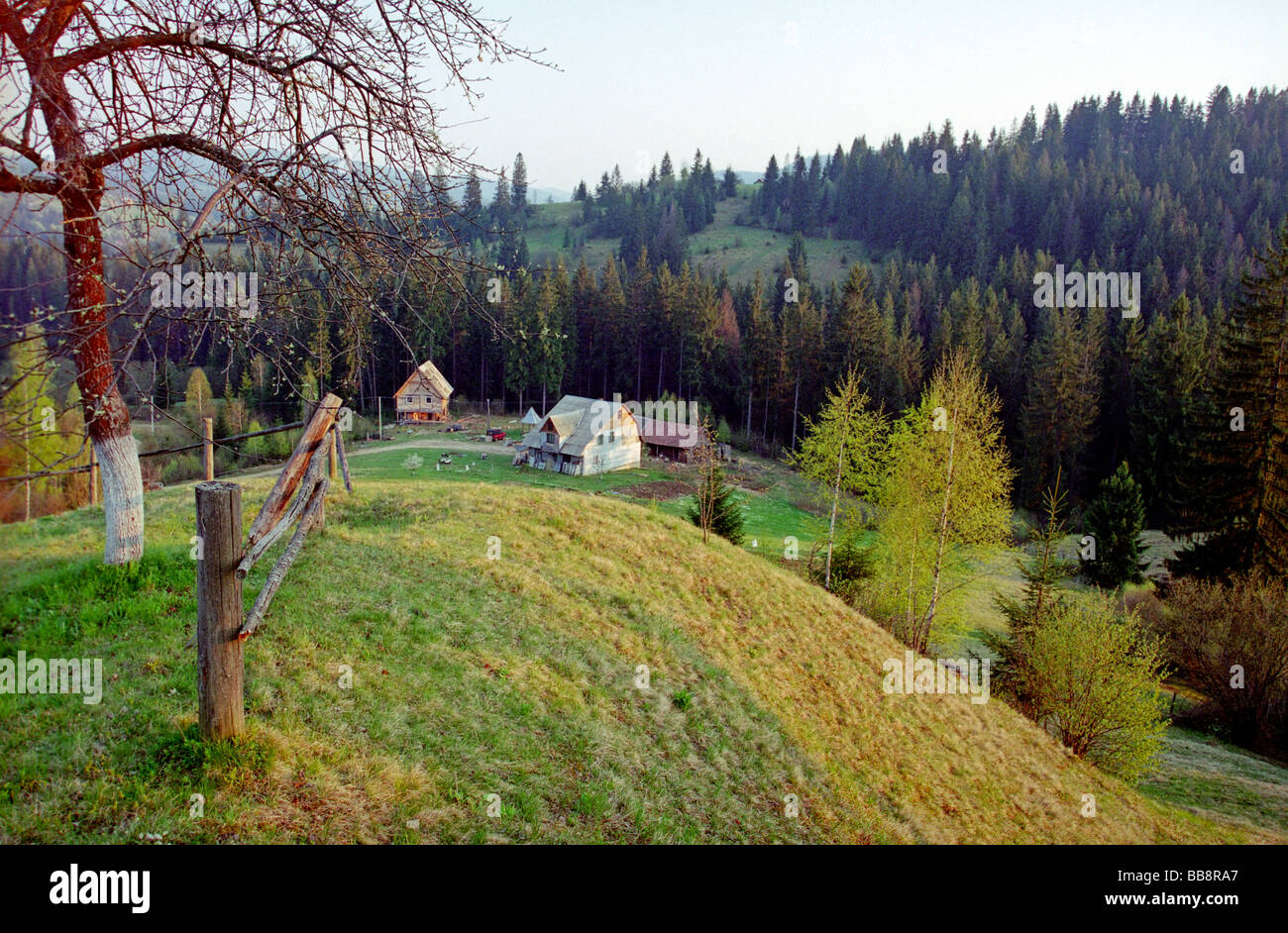 traditional village in carpathian mountain Stock Photo - Alamy