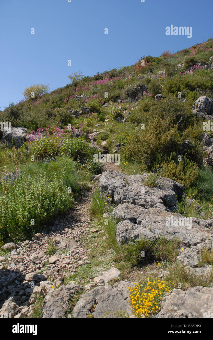 hiking trail to Foarad Rock Arck, Sierra de la Forada, Alicante Province, Comunidad Valenciana, Spain Stock Photo