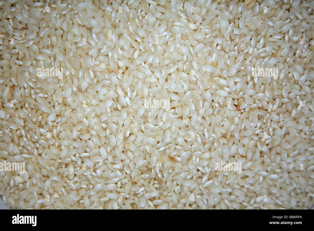 risotto paella rice Stock Photo