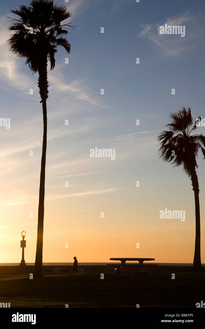 Palm trees at sunset on Mission Beach in San Diego Southern California USA  Stock Photo