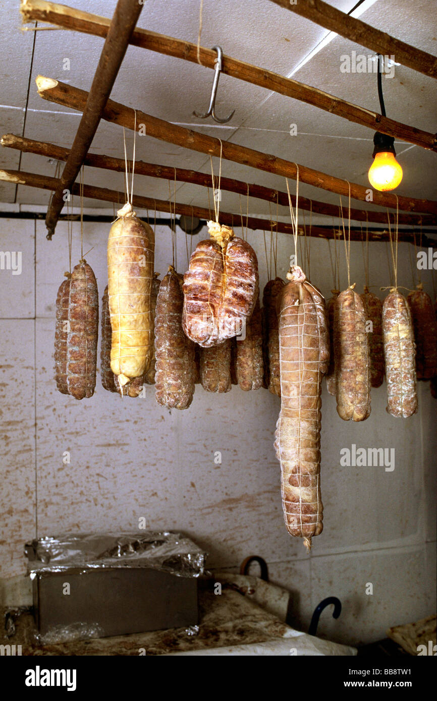 peasant traditions slaughter pig casorezzo Stock Photo Alamy