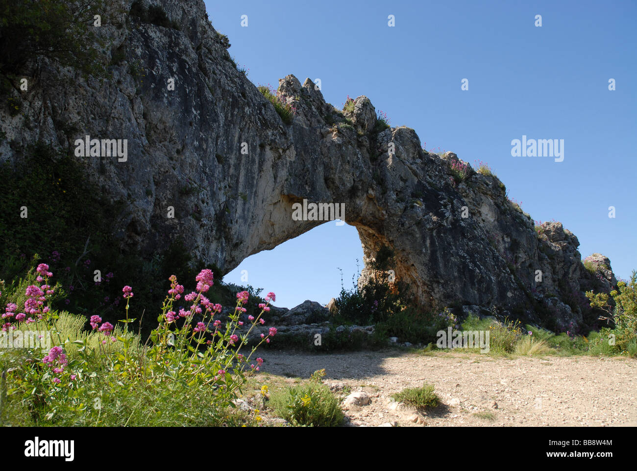 wildflowers and Forada Rock Arch, Sierra de la Forada, Alicante Province, Comunidad Valenciana, Spain Stock Photo