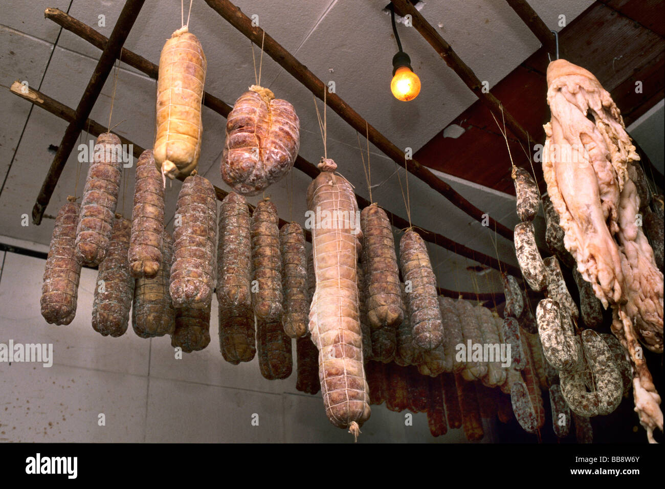 peasant traditions slaughter pig casorezzo Stock Photo Alamy