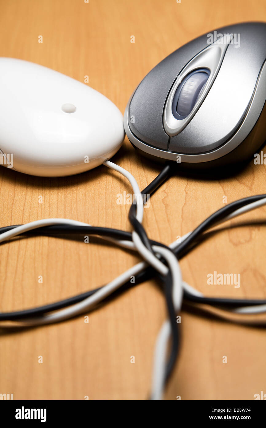 Two computer mouse cords tied together Stock Photo Alamy