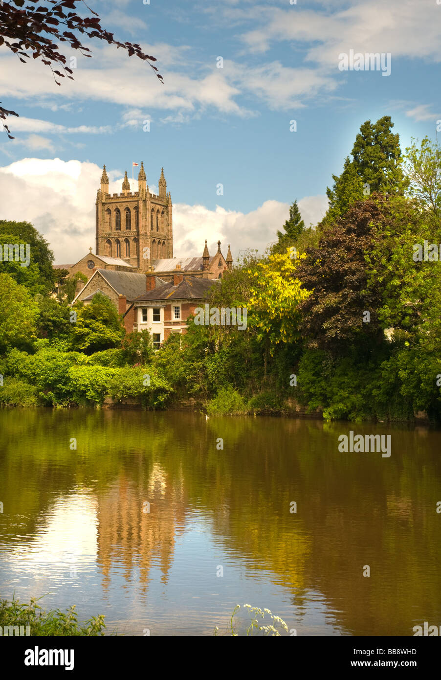 Hereford Cathedral and river Wye England Stock Photo