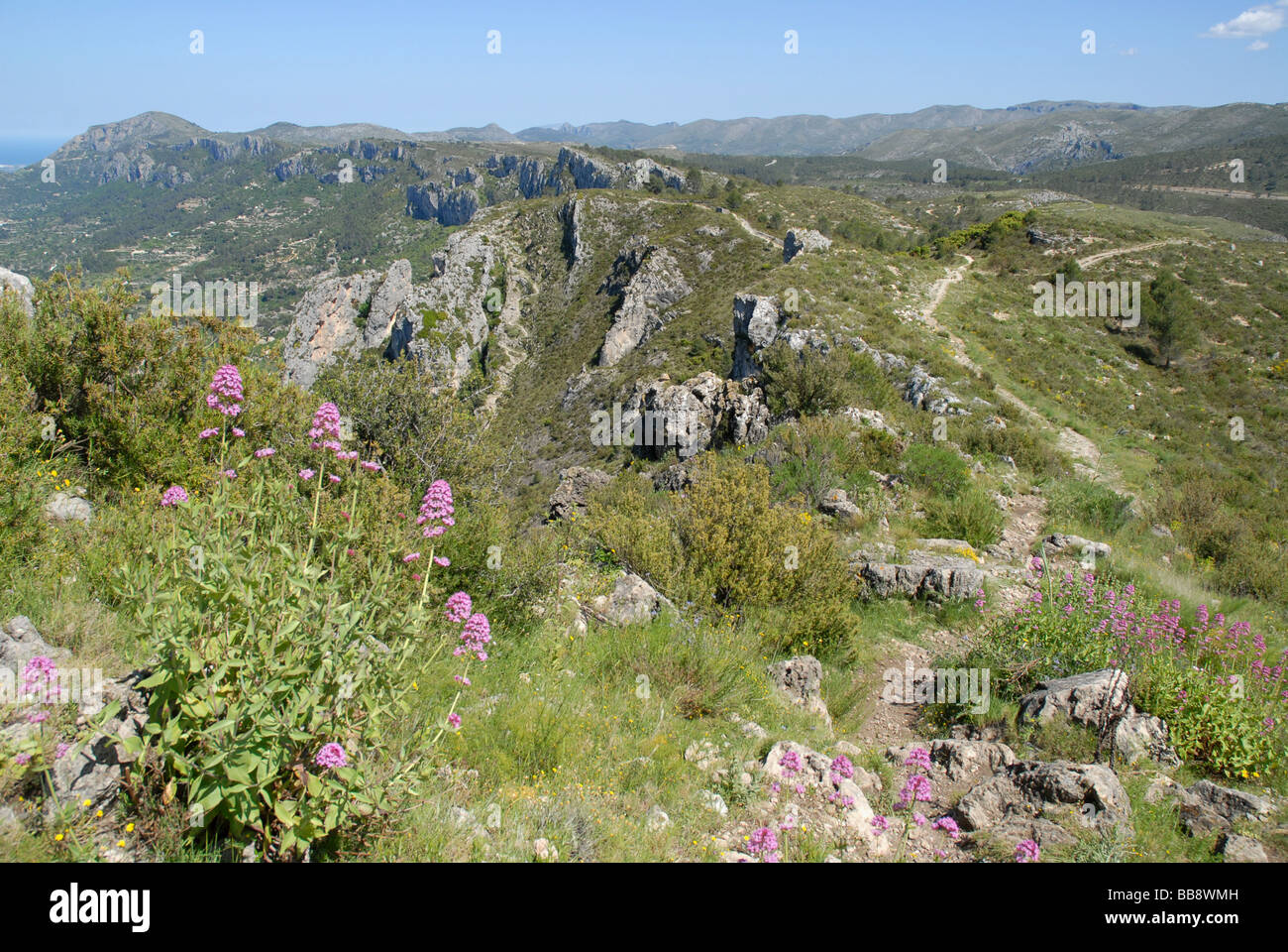 looking towards coast from Sierra de La Forada, Alicante Province, Comunidad Valenciana, Spain Stock Photo