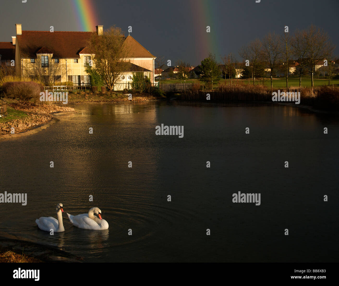 Dramatic black sky with double rainbow with two swans in foreground Northern France Stock Photo