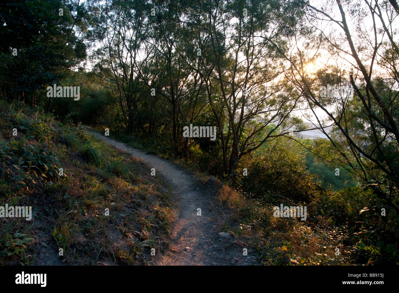 asia china hong kong Clearwater bay new territories Stock Photo Alamy