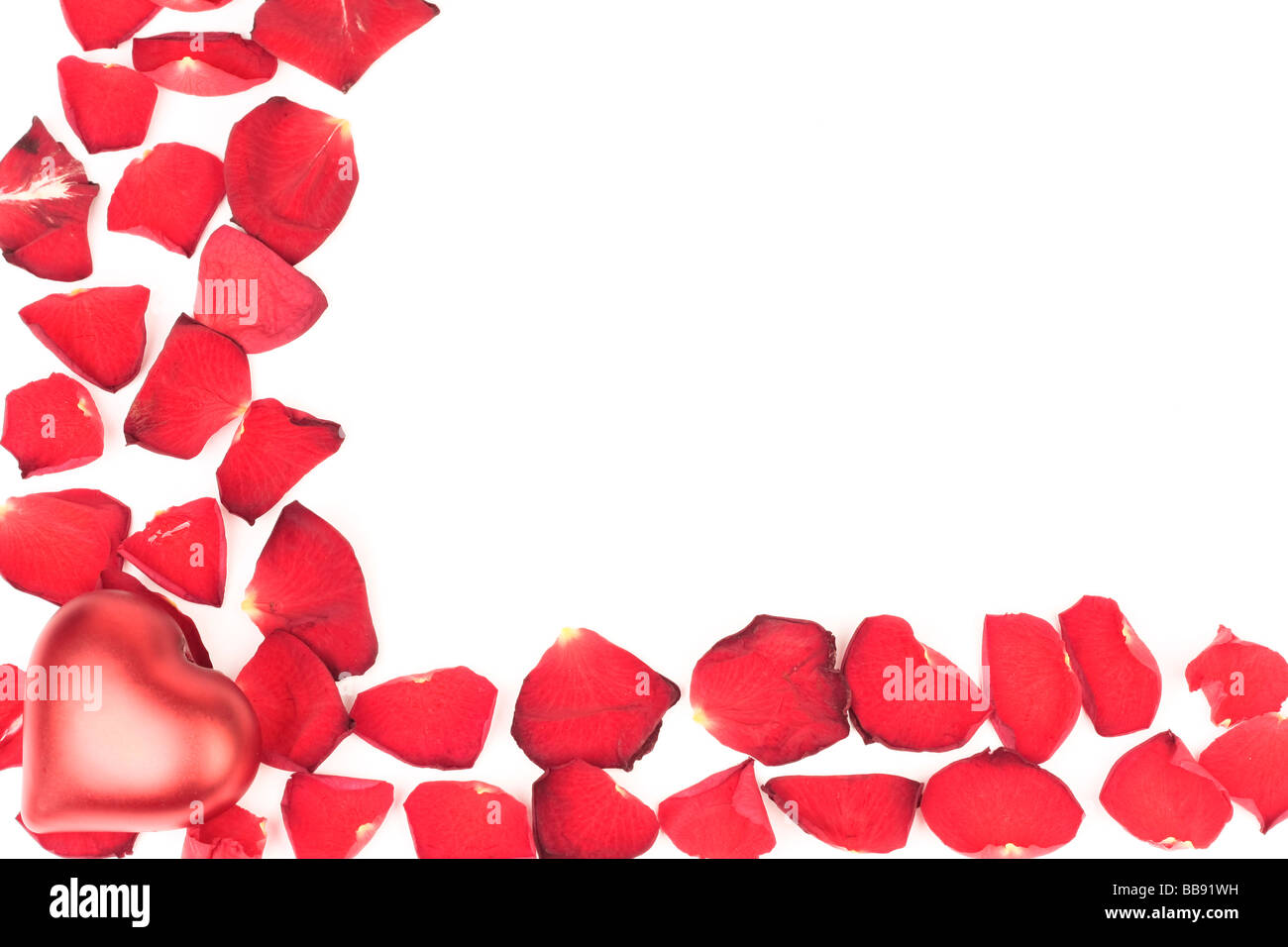 Heart with red rose petals on white background Stock Photo - Alamy