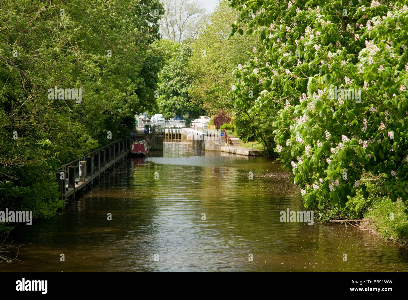 Lock on the River Thames at Pangbourne in Berkshire Uk Stock Photo