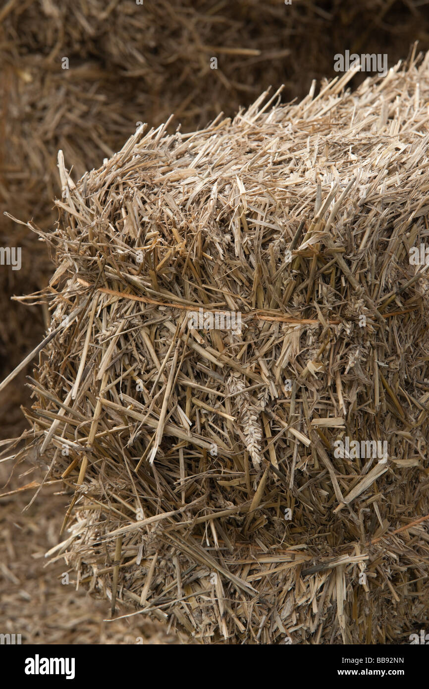 Straw binding hires stock photography and images Alamy