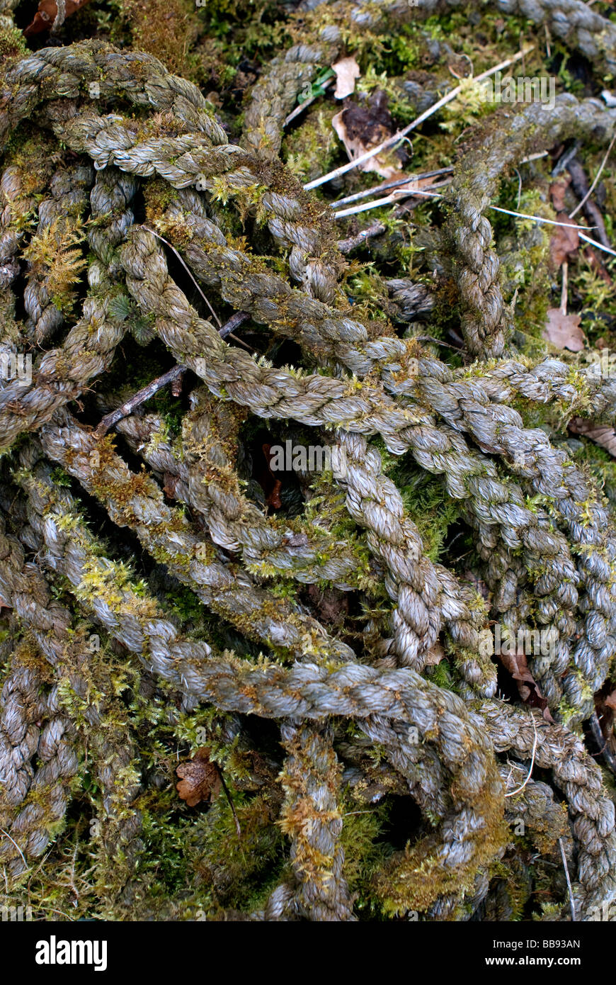 A bundle of old twisted pieces of rope Stock Photo - Alamy