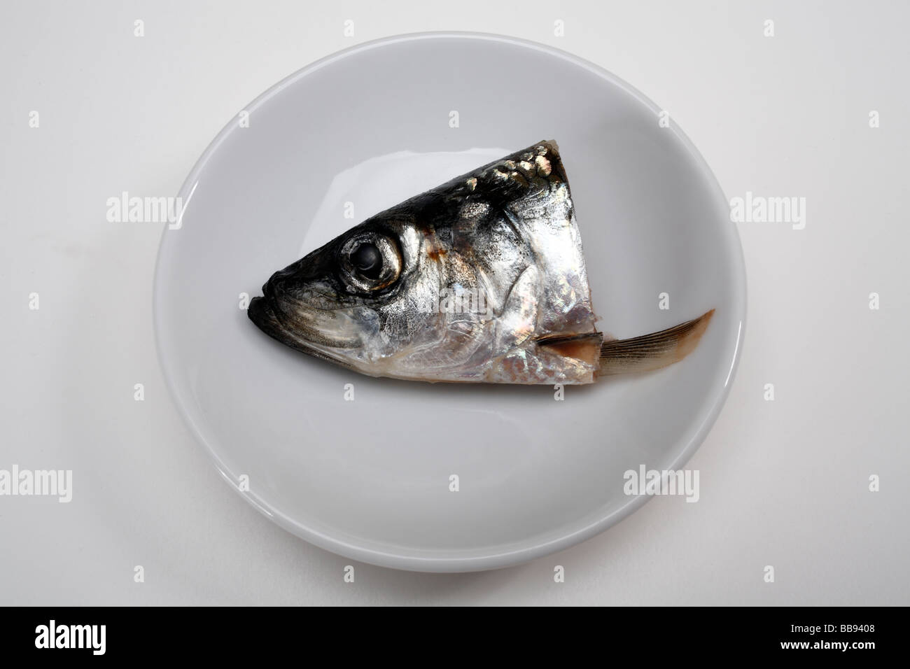 Herring head in a white bowl on white background Stock Photo Alamy