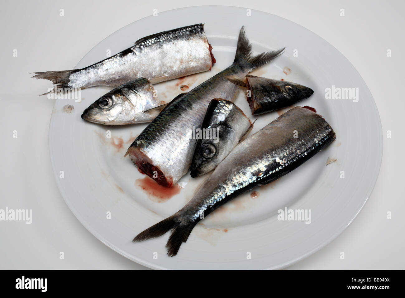 Cut up Herring on white plate Stock Photo
