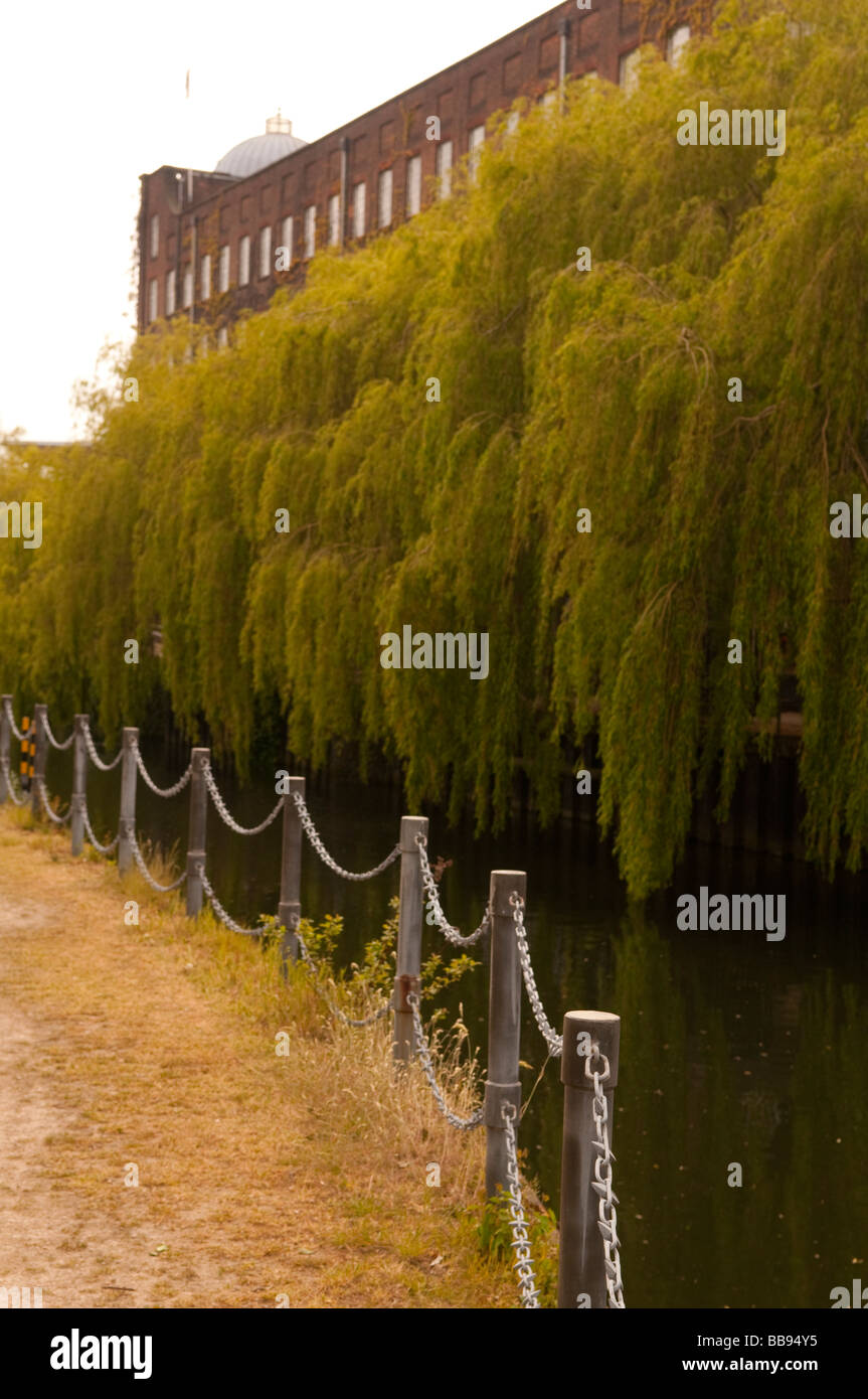 Chain fence bordering the river wensum with weeping willow trees fronting the  old Mustard Mill owned by the colman company Stock Photo