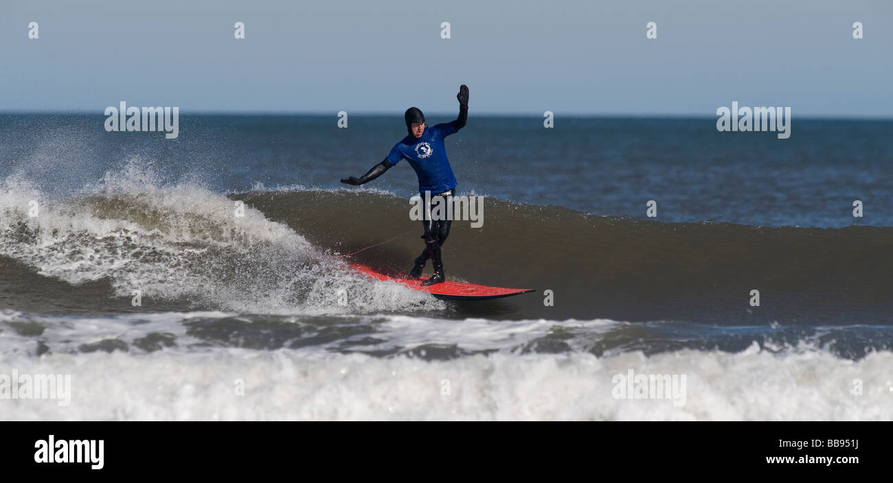 A surfer surfing the waves at Belhaven Bay, Dunbar, East Lothian, Scotland.Dressed in a full winter wetsuit. Stock Photo