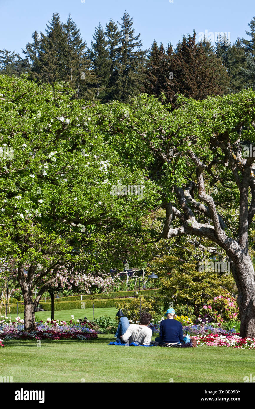 People relaxing on a lawn Sunny Spring day in Butchart Gardens Victoria