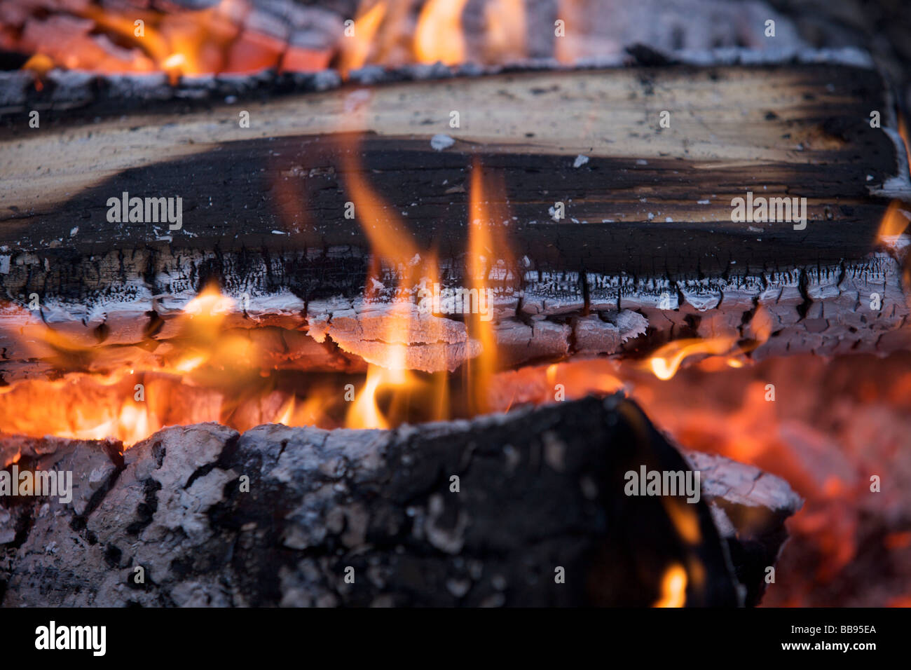 Campfire at night Stock Photo - Alamy