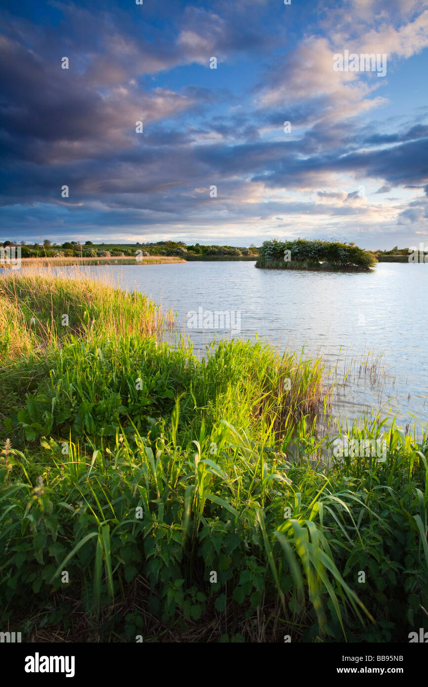 Evening at the Far Ings National Nature Reserve at Barton upon Humber in North Lincolnshire Stock Photo