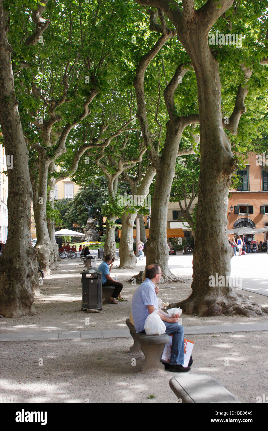 Popular restaurant and picnic piazza in the market town of LUCCA  an Etruscan town originally established by the Romans in 180BC Stock Photo