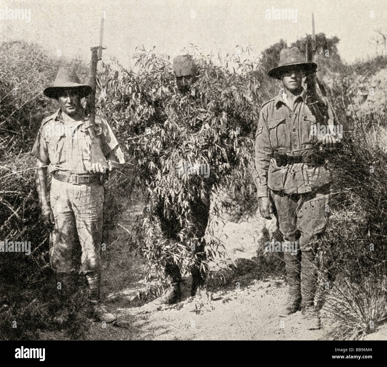 Gallipoli campaign. A Turkish sniper disguised as a bush in custody