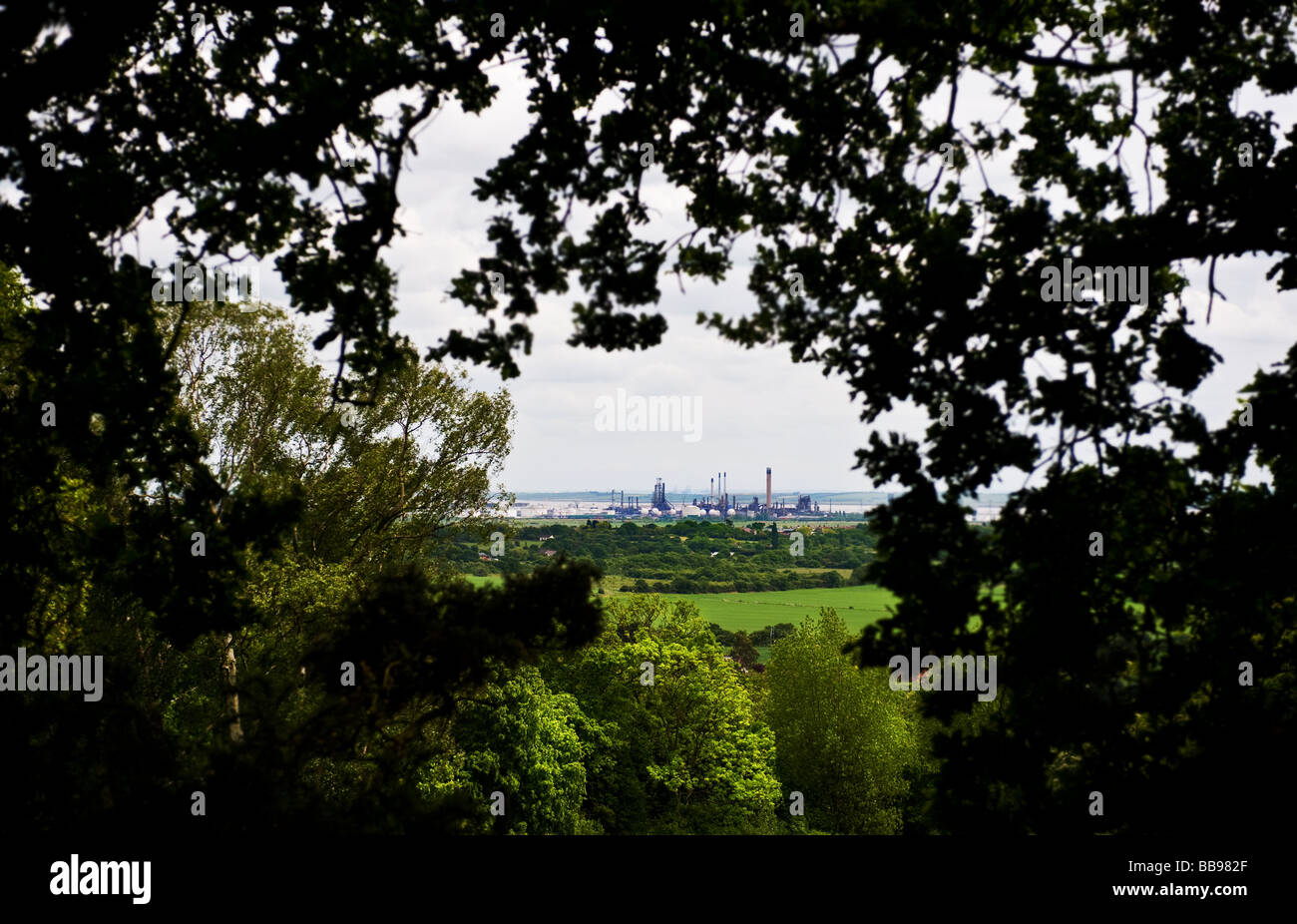 Coryton Oil Refinery seen through trees on One Tree Hill in Essex. Stock Photo