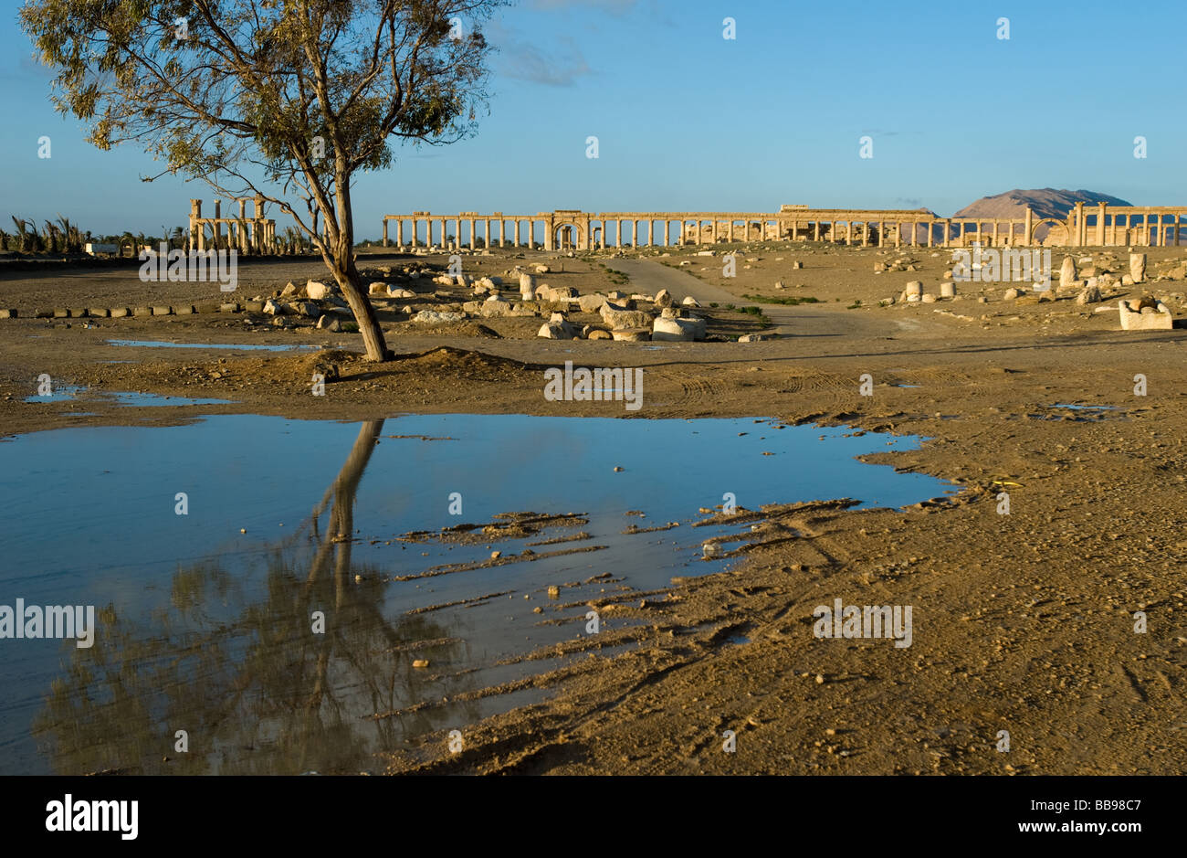 The ancient oasis city of Palmyra Syria Stock Photo - Alamy