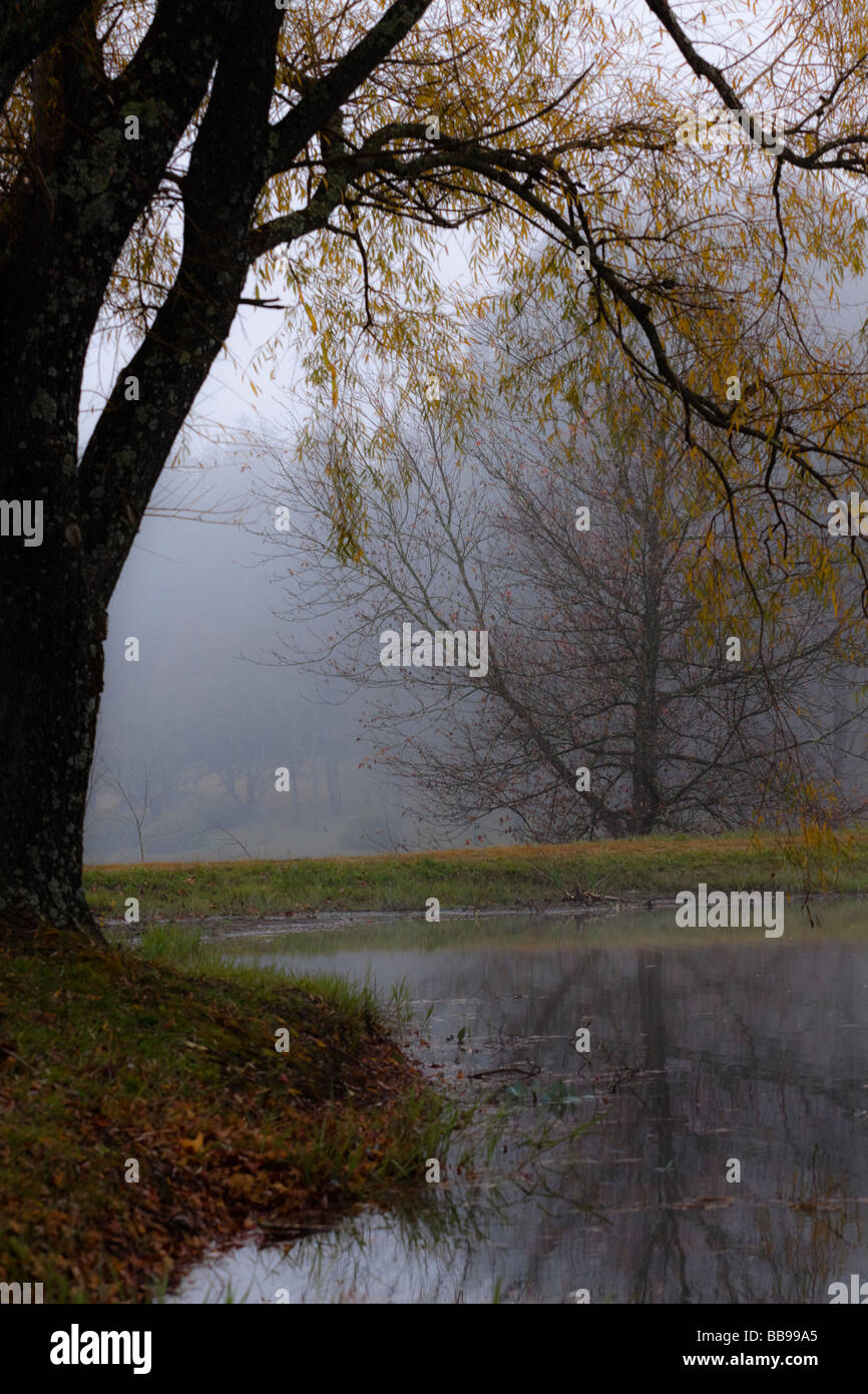 Morning colours in the mist Stock Photo Alamy