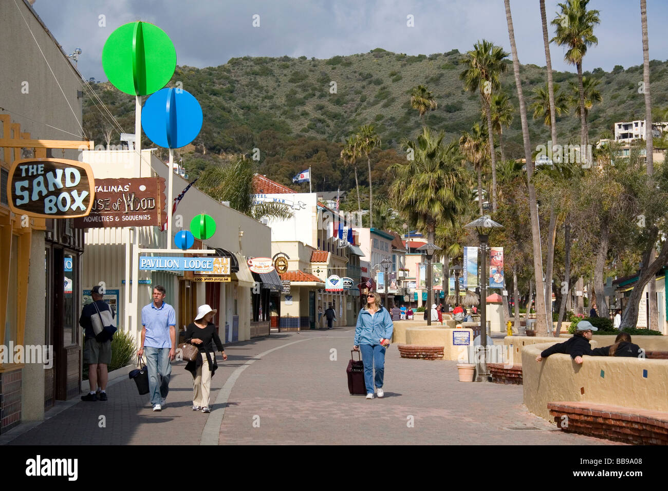 Are Dogs Allowed In Avalon California Stores