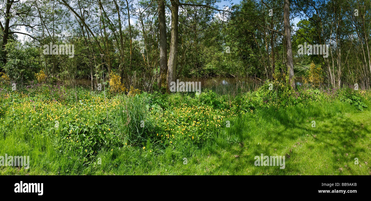 england midlands worcestershire valley of the river arrow redditch