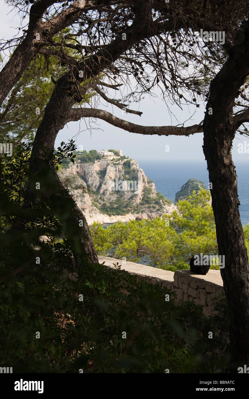 View from hilltop in Costa Blanca Spain Cap de la Nao with Black Cat sat on wall in shade of tree Stock Photo