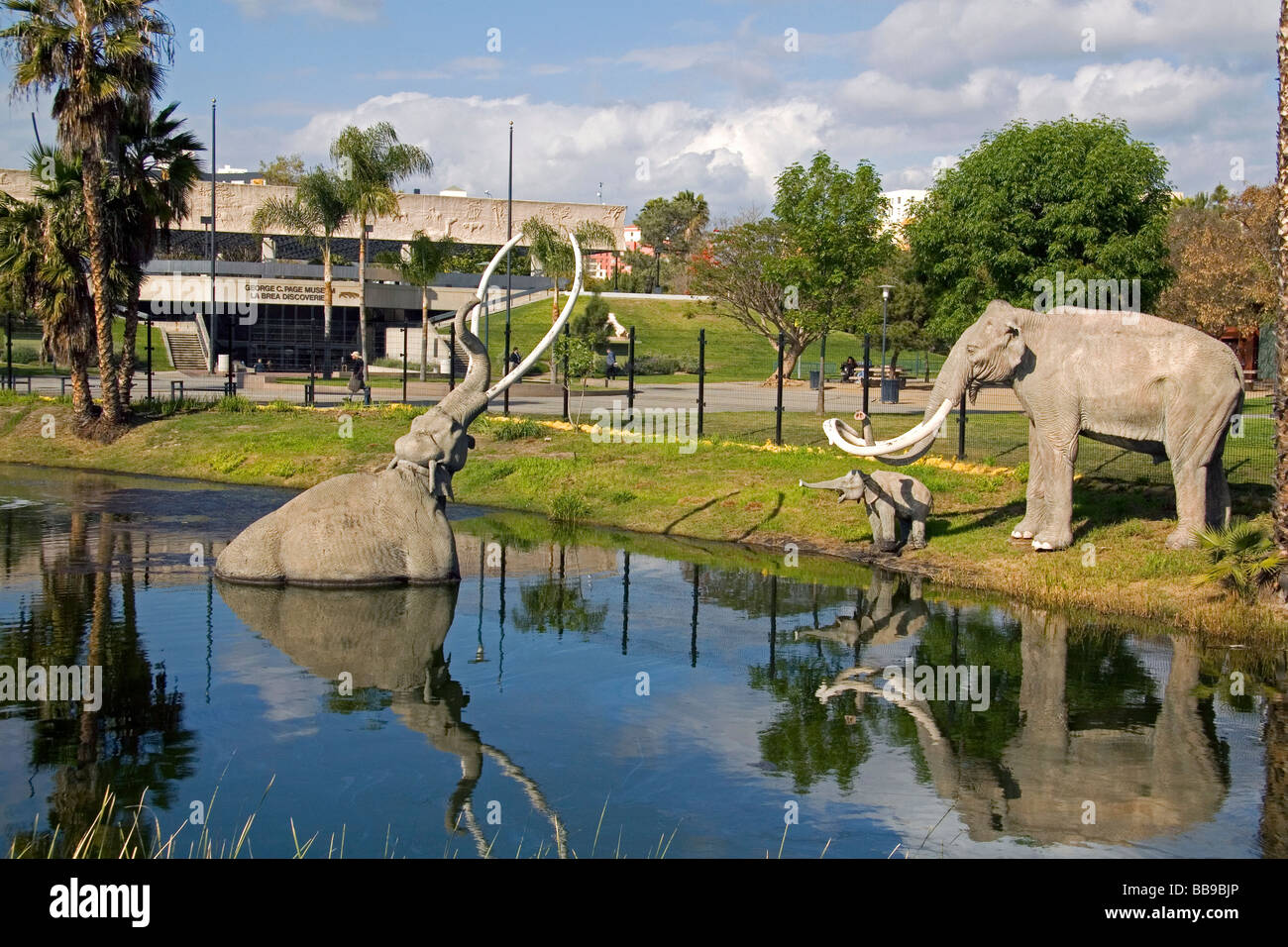 Models of mammoths at the La Brea Tar Pits in Hancock Park Los Angeles California USA  Stock Photo